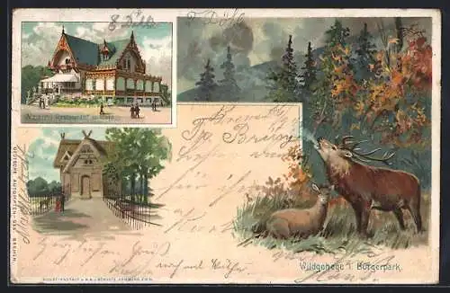 Lithographie Bremen, Bürgerpark - Restaurant-Cafe, Wildgehege mit röhrendem Hirsch