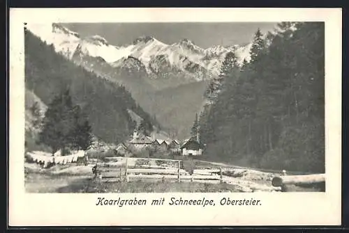 AK Neuberg an der Mürz, Karlgraben mit Schneealpe