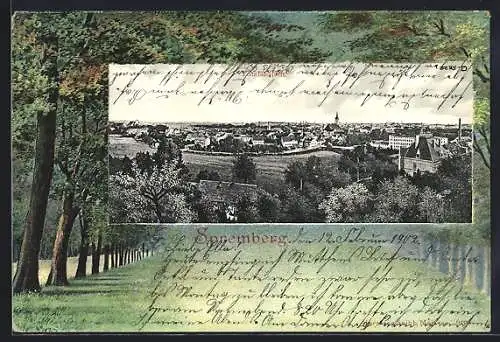 AK Spremberg / Niederlausitz, Panorama