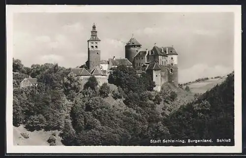 AK Schlaining /Burgenland, Schloss