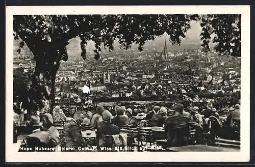 AK Wien, Blick von Hans Hübners Meierei Cobenzl auf die Stadt