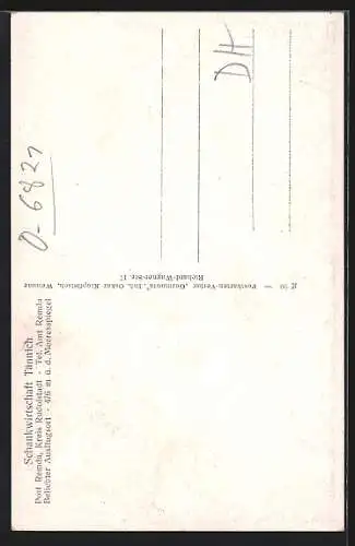 AK Tännich /Post Remda, Gasthaus von Adelbert Dittrich, Schloss, Försterei