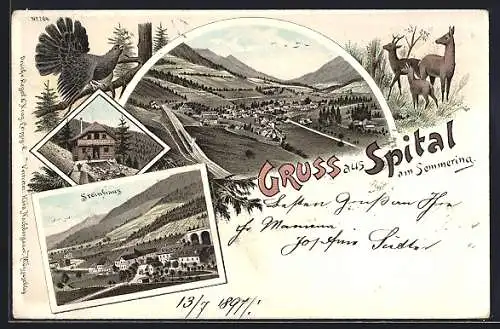 Lithographie Spital am Semmering, Teilansicht, Steinhaus, Holzhaus, Auerhahn