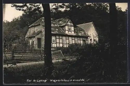 AK Winnefeld im Solling, Partie am Wegwärterhaus