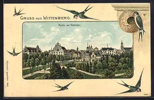 Passepartout-AK Wittenberg / Elbe, Partie am Elstertor, Schwalben mit Nest