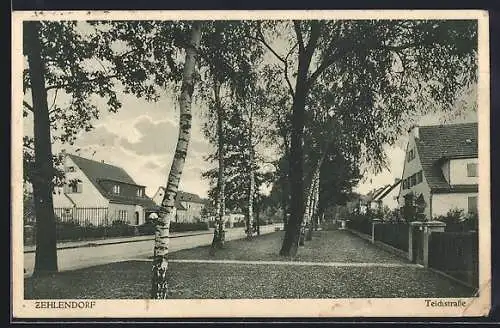 AK Berlin-Zehlendorf, Teichstrasse, Partie mit Bäumen
