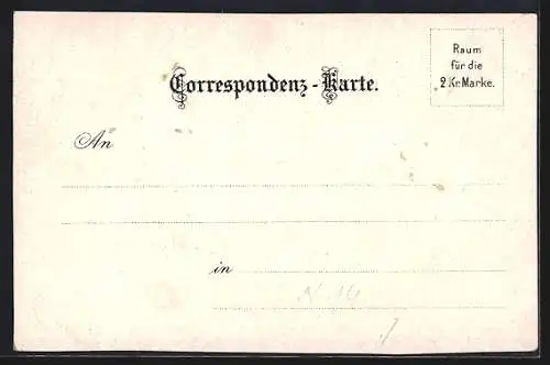 Lithographie Neunkirchen, Rathaus, Peterskirche, Ortsansicht gegen Türkensturz