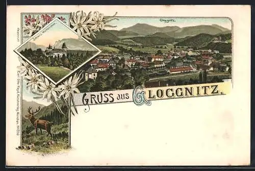 Lithographie Gloggnitz, Totalansicht, Schloss Wartenstein & Hirsch