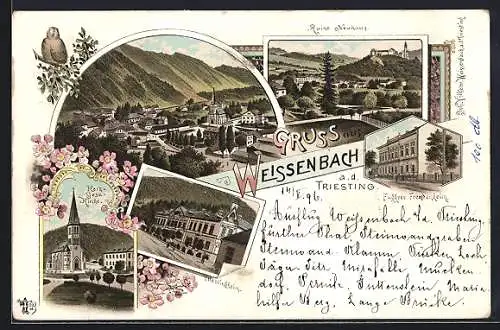 Lithographie Weissenbach a. d. Triesting, Fugges Fremdenheim, Ruine Neuhaus