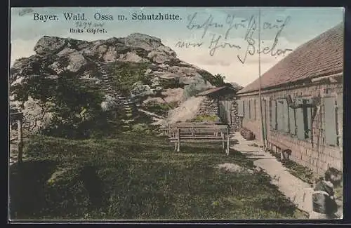 AK Ossa-Schutzhütte /Bayer. Wald, Teilansicht mit Gipfel und Treppe