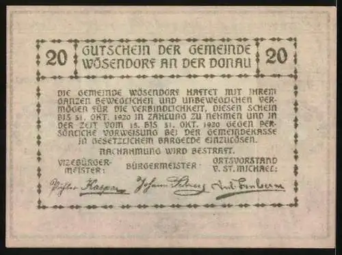 Notgeld Wösendorf 1920, 20 Heller, Burgruine mit Pflanzenornamenten