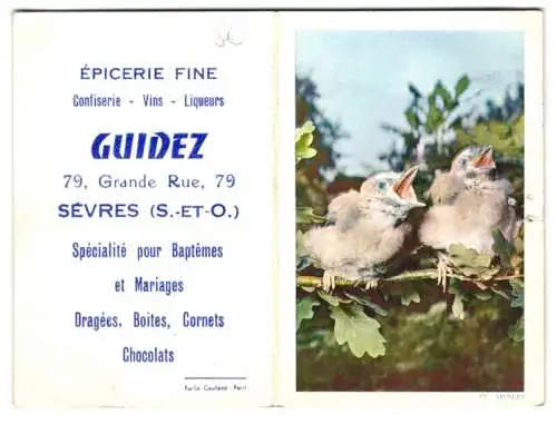 Kalender 1962, Sevres, Epicerie Fine Guidez, 79 Grande Rue, Vogelküken auf Eichenzweig sitzend