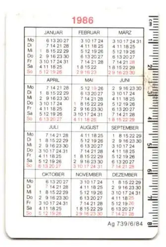 Kalender 1986, Karl-Marx-Stadt / Chemnitz, VEB Elastic Mieder Zeulenroda, junge Frau trägt Büstenhalter / Reizwäsche