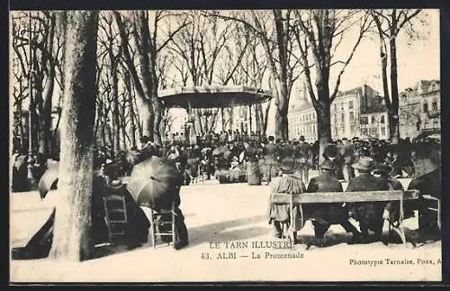 AK Albi, La Promenade