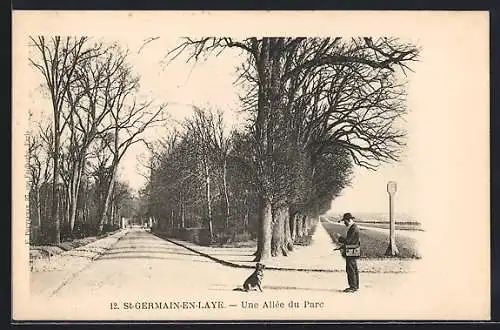 AK St-Germain-en-Laye, Une Allée du Parc