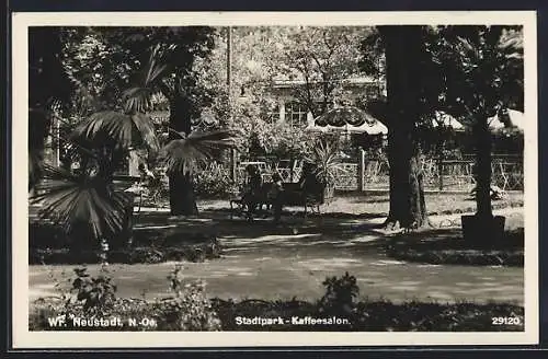 AK Wr.-Neustadt /N.-Oe., Stadtpark-Cafesalon