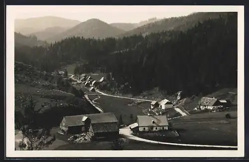 AK St. Aegyd am Neuwalde, Ulreichsberg, Ortsansicht mit Bergen