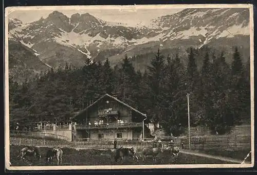 AK Innsbruck, Gramartboden, Alpengasthaus Frau Hitt