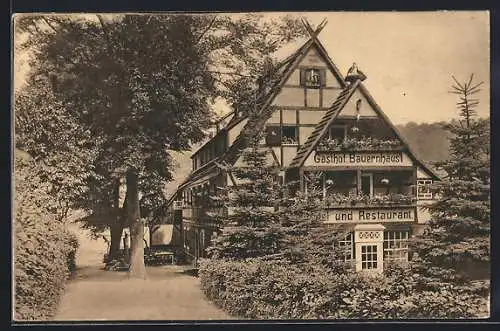 AK Pötzscha-Wehlen, Gasthaus Bauernhäus`l an der Elbe