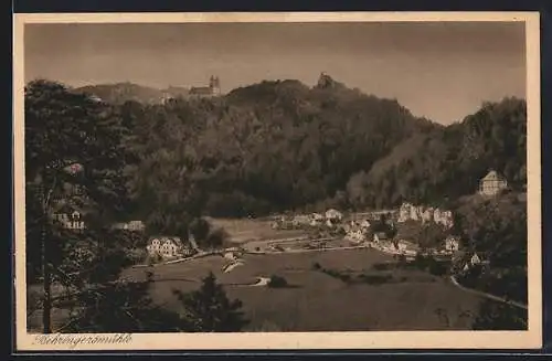 AK Behringersmühle, Ortschaft mit Talansicht