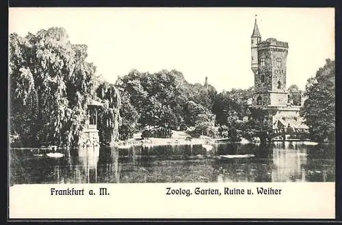 AK Frankfurt / Main, Ruine und Weiher im Zoologischer Garten