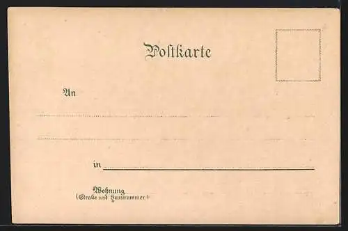 Lithographie Lindau / Bodensee, Gesamtansicht, Heidenmauer, Hafen