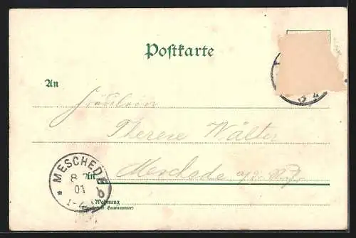 Lithographie Mainz, Teilansicht mit Dampfern