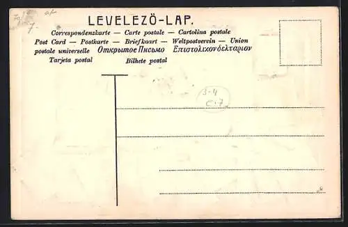 Präge-AK Ungarn, Briefmarken und Landeswappen