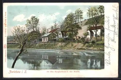 AK Zwickau, An den Bergkellern und der Mulde