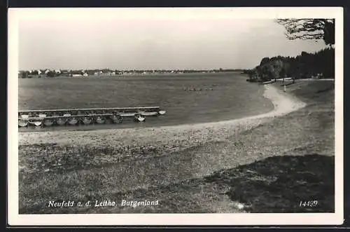 AK Neufeld a. d. Leitha, Blick aufs Wasser