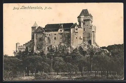 AK Maria Enzersdorf, Burg Liechtenstein, Panorama-Ansicht