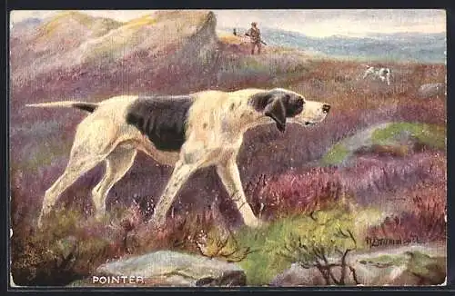 Künstler-AK Sporting Dogs, Pointer, Jagdhund auf der Pirsch