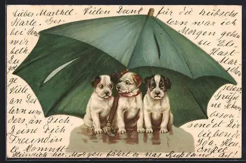 Lithographie Drei kleine Hunde unter einem grünen Schirm