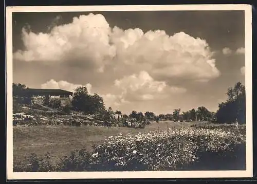 AK Stuttgart, Reichsgartenschau 1939, Tal der Rosen