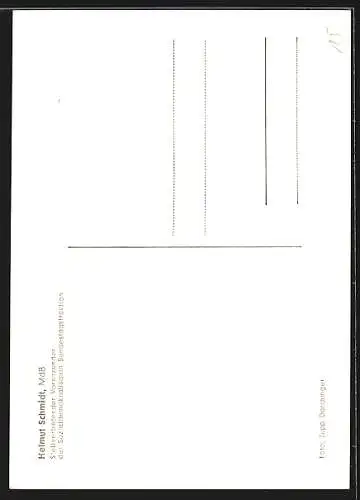 AK Stellvertretender Vorsitzender der Solzialdemokratischen Bundestagsfraktion Helmut Schmidt