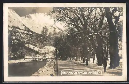 AK Innsbruck, Winterliche Partie in der Ferdinandsallee