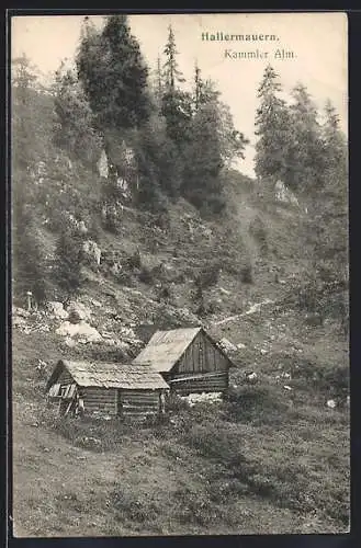 AK Kammler Alm /Hallermauern, Blick auf zwei Berghütten