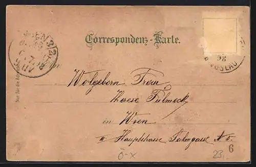 Lithographie Gainfarn /Nied. Öst., Gasthof zur Weintraube, Hotel Mercur-Hof, Wasser-Heilanstalt