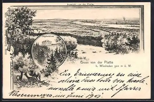 Lithographie Wiesbaden, Aussicht von der Platte und Jagdschloss