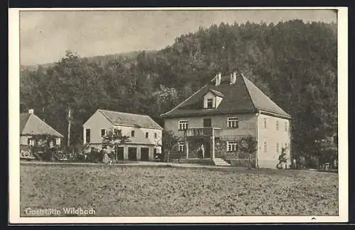 AK Wildbach, Ortspartie mit Gasthaus u. Pension