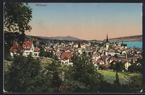 AK Wädensweil, Ortsansicht vom Hang aus