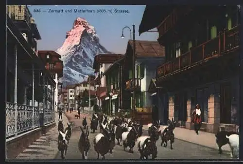 AK Zermatt, Matterhorn und Strasse mit Ziegentrieb