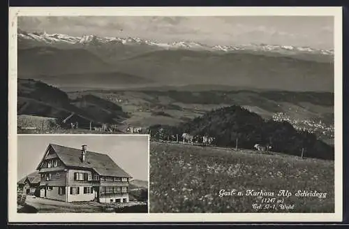 AK Scheidegg, Gast-und Kurhaus Alp, Blick auf die Alpen mit Kühen