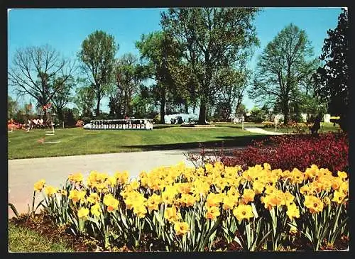 AK Köln, Bundesgartenschau, Der blühende Rheinpark mit Kleinbahn