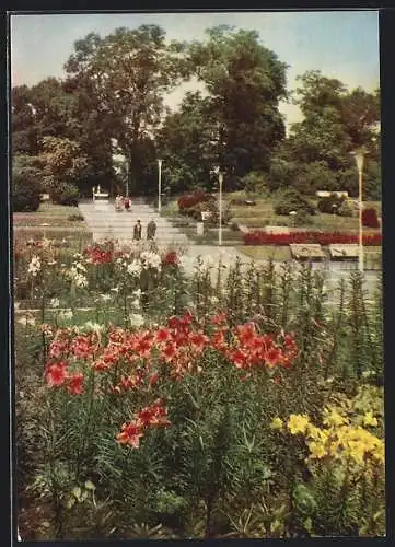 AK Erfurt, Internationale Gartenbauausstellung, Lilien blühen am Irisgarten