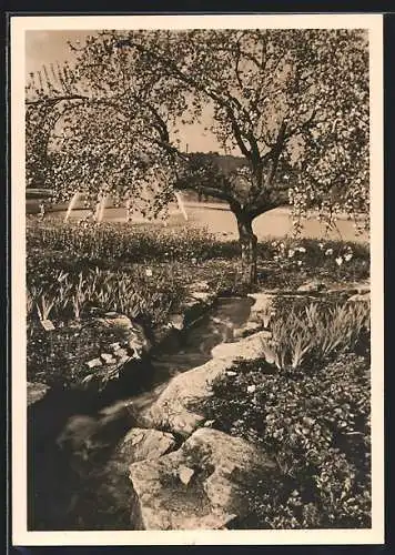 AK Stuttgart, Reichsgartenschau 1939, Bachlauf im Seengebiet