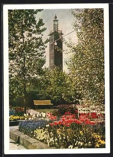 AK Köln, Bundesgartenschau 1957, Blumengarten am Ausstellungsturm