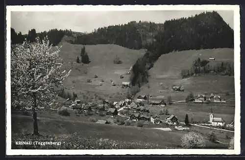 AK Krinau /Toggenburg, Ortsansicht im Frühling