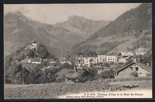 AK Chateau d`Oex, Vue générale et la Dent de Corjon