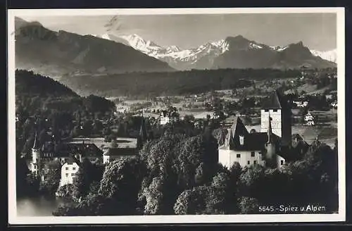 AK Spiez, Ortsansicht mit Blick in die Alpen